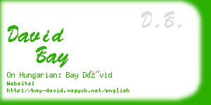 david bay business card